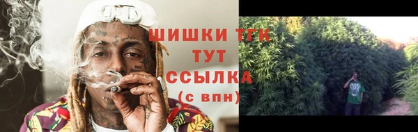 индика Белокуриха