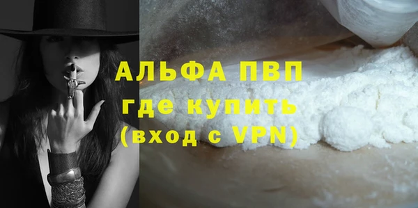индика Белокуриха