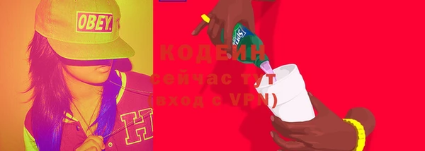 индика Белокуриха