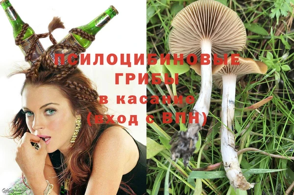 индика Белокуриха
