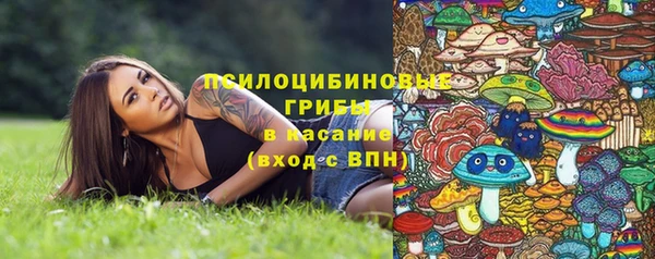метадон Беломорск