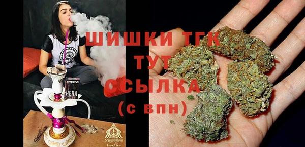 индика Белокуриха
