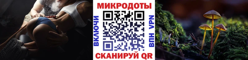 Псилоцибиновые грибы MAGIC MUSHROOMS  mega зеркало  Воркута 